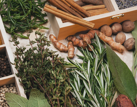 A collection of whole-food herbs on an apothecary table. 